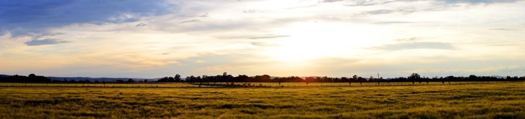 Rye Field and Sunset