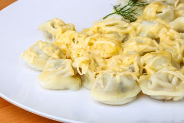 Russian dumplings