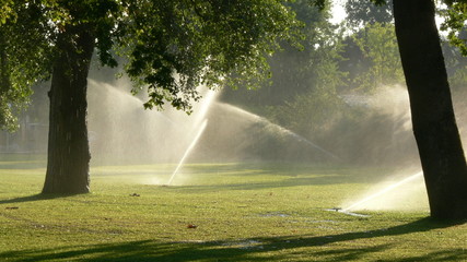 arrosage dans un jardin public