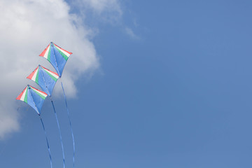 kites in the sky