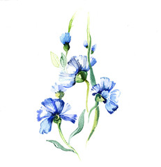 The blue flowers watercolor isolated on the white background - 84379252