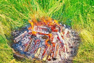 fire in nature