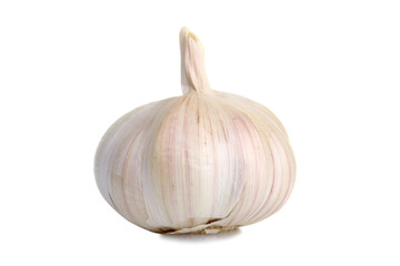 garlic  isolated
