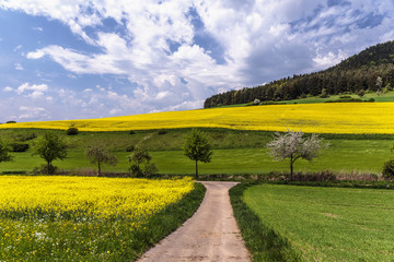 German Spring Countryside Landscape