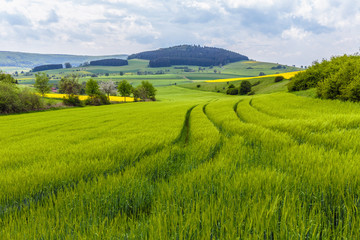 German Spring Countryside Landscape