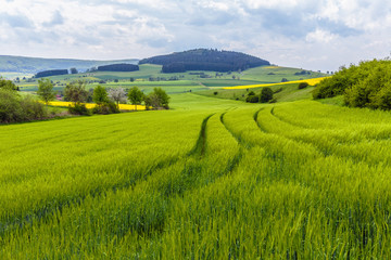 Fototapeta premium German Spring Countryside Landscape