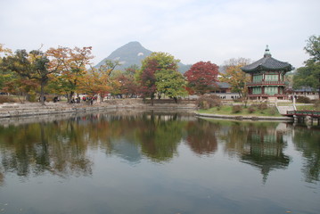 Obraz premium Парк