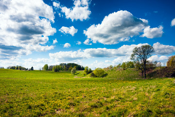 Obraz premium Countryside field and blue sky clouds