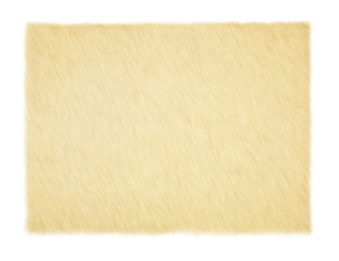 Yellow empty papyrus.