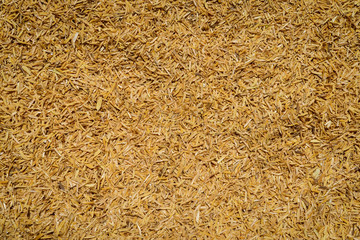 Rice Husk background