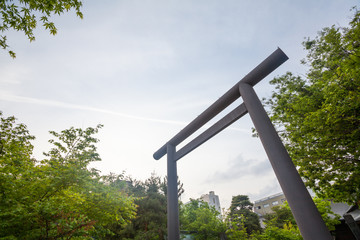 Fototapeta premium 神社の鳥居