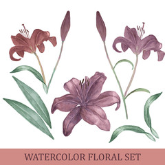 Watercolor floral set
