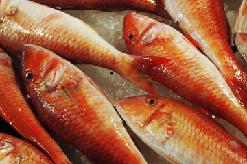 At the fish market in Italy - Atlantic goatfish (Pseudupeneus prayensis) 