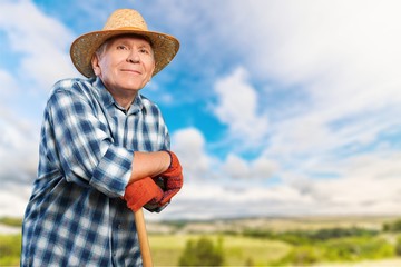 Gardening, Senior Adult, Men.