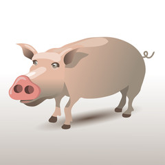 Pig Character