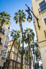 Ornate Street Lamp and Palm trees against a bright blue backgrou