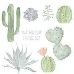 Foto op Canvas Cactusreeks. Aquarel succulente collectie © natikka