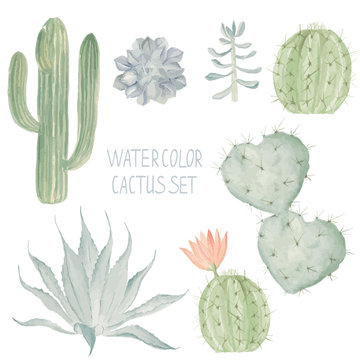 Cactus set. Watercolor succulent collection