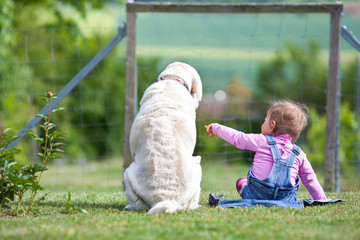kleines Mädchen mit Labrador