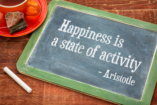 Happiness is a state of activity