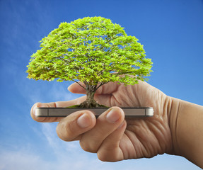 Tree over smartphone