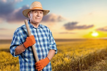 Gardening, Senior Adult, Men.