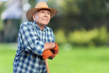 Gardening, Senior Adult, Men.