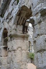 Amphitheater in Pula