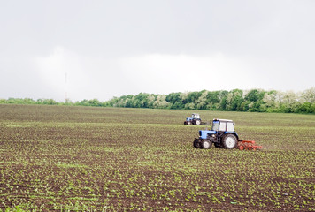 Fototapeta premium two tractors treated field