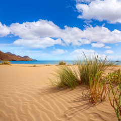 Fototapeta na wymiar Almeria Playa Genoveses beach Cabo de Gata