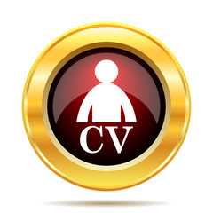 CV icon