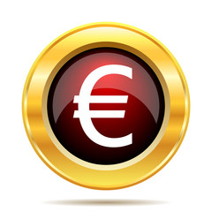 Euro icon