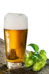 beer and hops