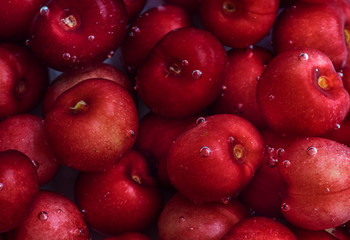 Cherries in water