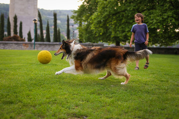 Young boy playing with a dog in the park