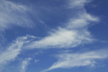White cloud in the blue sky