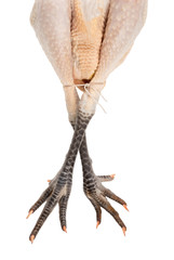 Bresse chicken