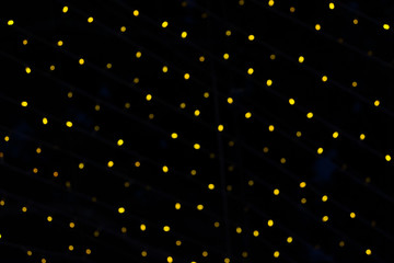 abstract Bokeh lights background