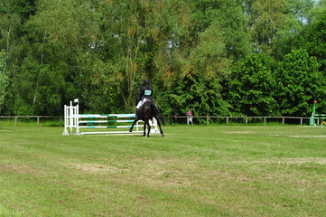 saut d'obstacles