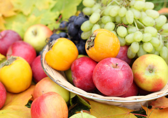 Fresh fruit apples maple autumn harvest