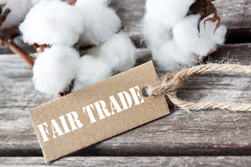 Cotton - Fair Trade