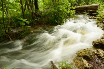 Plitvice Lakes, CROATIA, EUROPE