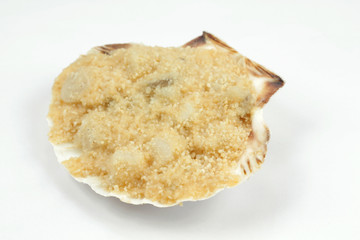 coquille saint-jacques 02062015