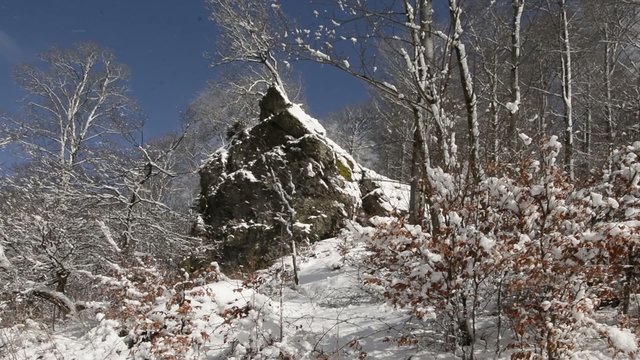 Schneebedeckte Bruchhausener Steine