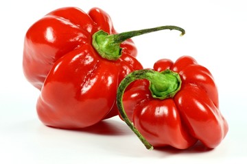 Habanero isoliert auf weißem Hintergrund