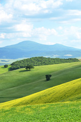 Typical Tuscan landscape near Pienza, Italy