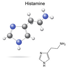 Model and chemical formula of histamine