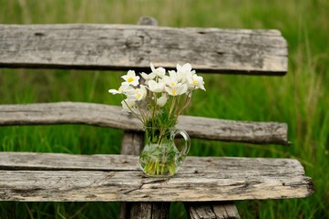 White anemones in glass jar on old wooden table