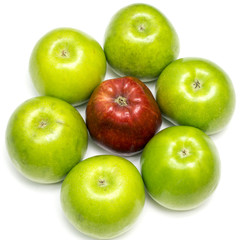 Зеленые яблоки в форме круга и красное яблоко крупным планом на белом фоне