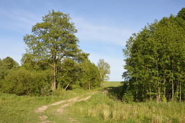 Июнь-начало лета